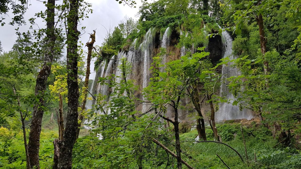 B&B Plitvica Villa Prica Plitvicka Jezera Bagian luar foto